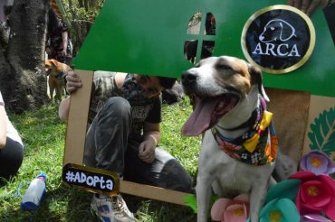 ¡Ven al Parque y Crea el Peludo de tus Sueños!